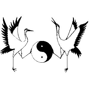 Tai Chi Youth charity nonprofit for youth at risk