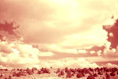 Kung Fu Quest, Northern Nevada