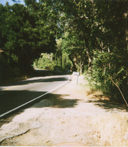 Master Zhen's Cabin in Angeles Forest, California