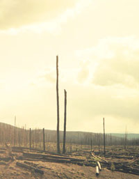 Epic poem by a lost soul