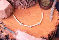 Turquoise Necklaces by The Coyote