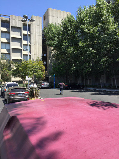 I'm Not Homeless POETRY BOOK Book Cover Photo: I'm Not Homeless - I'm Domestically Challenged