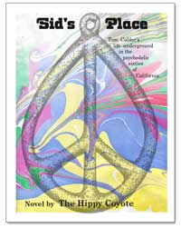 Novel about Pyschedelic Flower Power Years
